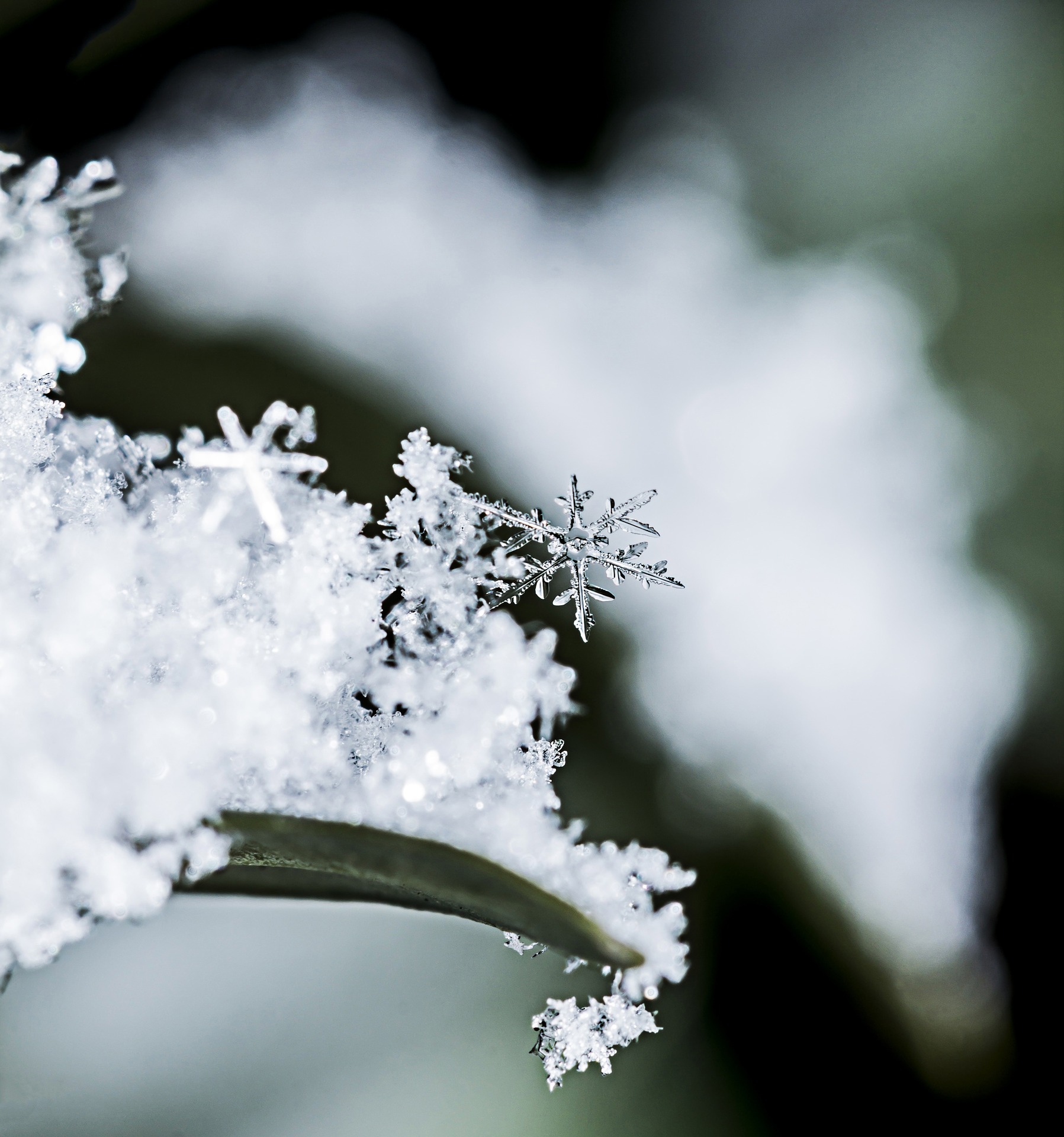 Snowflake Poem – On Being Legless